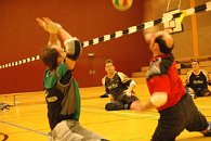 db_DSC_00867