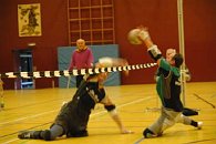 db_DSC_03531